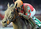 Hobeau Grade I Winners Scratched