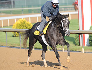 Mission Impazible to Skip Preakness Mission Impazible to Skip Preakness