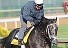 Mission Impazible to Skip Preakness Mission Impazible to Skip Preakness