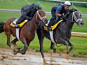 Rule Works 5f in 1:00 Under Melancon Rule Works 5f in 1:00 Under Melancon