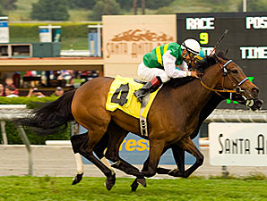 Missit Wins U.S. Debut in Providencia Missit Wins U.S. Debut in Providencia
