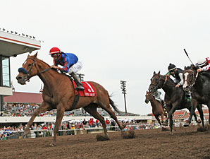 Mister Marti Gras Wins First Mystic Lake Mile Mister Marti Gras Wins First Mystic Lake Mile