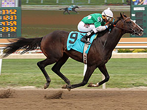 Mister Pollard Romps in Governor's Stakes Mister Pollard Romps in Governor's Stakes