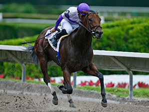 Princess Rooney Goes to O'Neill's 'Plan Princess Rooney Goes to O'Neill's 'Plan