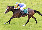 Misty For Me Clear Winner in Pretty Polly