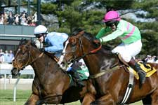 Mixed Up Wins Royal Chase for Sheppard, Pape Mixed Up Wins Royal Chase for Sheppard, Pape