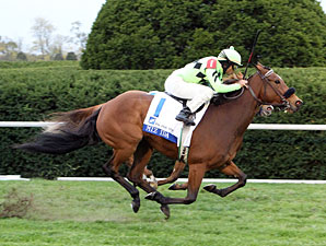 Miz Ida Returns to Site of Last Victory Miz Ida Returns to Site of Last Victory