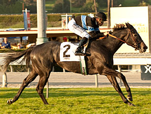 Buena Vista Mile No Issue for Mizdirection 