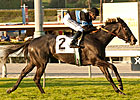 Buena Vista Mile No Issue for Mizdirection Buena Vista Mile No Issue for Mizdirection