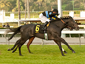 Hillside Ace Mizdirection Wins Monrovia Again Hillside Ace Mizdirection Wins Monrovia Again