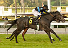 Hillside Ace Mizdirection Wins Monrovia Again Hillside Ace Mizdirection Wins Monrovia Again