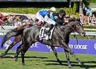 Mizdirection Takes Turf Sprint Over the Boys Mizdirection Takes Turf Sprint Over the Boys
