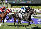 Mizdirection Outside for Turf Sprint Defense Mizdirection Outside for Turf Sprint Defense