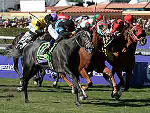 Mizdirection Repeats in BC Turf Sprint Mizdirection Repeats in BC Turf Sprint