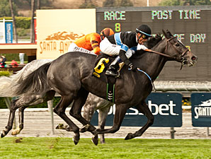 Mizdirection Keeps Winning in Las Cienegas Mizdirection Keeps Winning in Las Cienegas