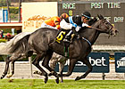 Mizdirection Keeps Winning in Las Cienegas Mizdirection Keeps Winning in Las Cienegas