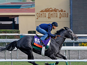 Mizdirection Sparkles in 5-Furlong Turf Work Mizdirection Sparkles in 5-Furlong Turf Work