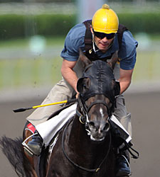Mobilizer Getting Attention in Queen's Plate Mobilizer Getting Attention in Queen's Plate