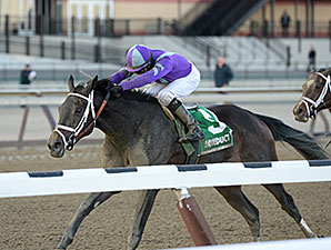 Mo d'Amour Rallies to Victory in Busher
