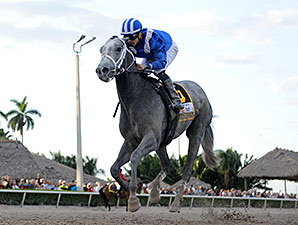 Mohaymen Dominates Fountain of Youth