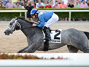 Mohaymen Pointing Toward Fountain of Youth