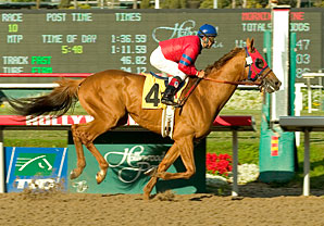 Molengao Back in Action in 'Pasqual Molengao Back in Action in 'Pasqual