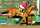Molengao Back in Action in 'Pasqual