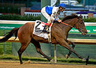 Molly Morgan Gets Class Relief in Gardenia Molly Morgan Gets Class Relief in Gardenia