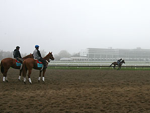 117 Entered for Monmouth's 12-Race Opener 117 Entered for Monmouth's 12-Race Opener