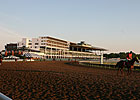 NJ Dates Granted, Betting Parlors Licensed