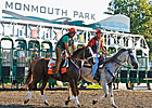 Attendance, Handle Gains at Monmouth Park Attendance, Handle Gains at Monmouth Park