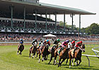 Drazin: New Jersey Racing is 'Here to Stay' Drazin: New Jersey Racing is 'Here to Stay'