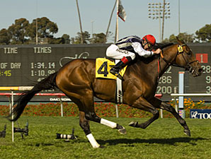 Del Mar Mile: Monterey Jazz Back With Flores Del Mar Mile: Monterey Jazz Back With Flores