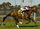 Del Mar Mile: Monterey Jazz Back With Flores Del Mar Mile: Monterey Jazz Back With Flores