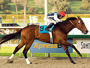 Deep 14-Horse Field Set in Big 'Cap Deep 14-Horse Field Set in Big 'Cap