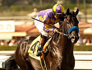 11 Juveniles Set in Closing Day King Glorious 11 Juveniles Set in Closing Day King Glorious