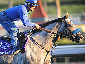 Trainer: Monzante Euthanized Due to Injuries Trainer: Monzante Euthanized Due to Injuries