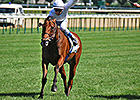 Moonlight Cloud Wins Clash of European Stars Moonlight Cloud Wins Clash of European Stars