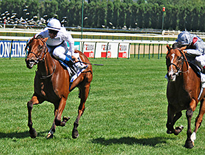 Moonlight Cloud, Invincible in 2013 Moonlight Cloud, Invincible in 2013