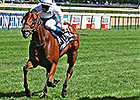 Moonlight Cloud, Invincible in 2013 Moonlight Cloud, Invincible in 2013