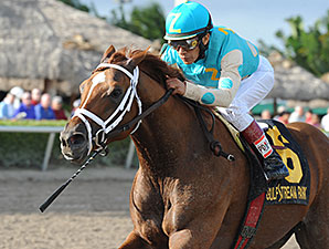 Mordi's Miracle Wins Sunshine Million Preview Mordi's Miracle Wins Sunshine Million Preview