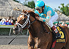 Mordi's Miracle Wins Sunshine Million Preview Mordi's Miracle Wins Sunshine Million Preview