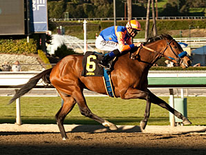 More Chocolate Wins Dirt Debut in La Canada More Chocolate Wins Dirt Debut in La Canada