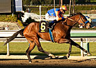 More Chocolate Wins Dirt Debut in La Canada