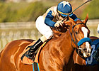 Bourbonette Oaks Draws Nine 3YO Fillies Bourbonette Oaks Draws Nine 3YO Fillies