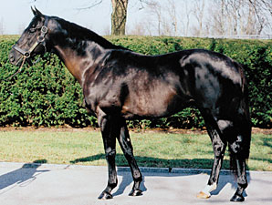 Corkage Sells for $300,000 at F-T Midlantic Corkage Sells for $300,000 at F-T Midlantic