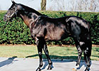 Corkage Sells for $300,000 at F-T Midlantic Corkage Sells for $300,000 at F-T Midlantic