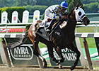 Contentious Group Entered for Pimlico Special Contentious Group Entered for Pimlico Special