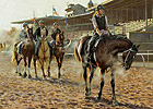 Sale of Oil Painting to Benefit PDJF Sale of Oil Painting to Benefit PDJF