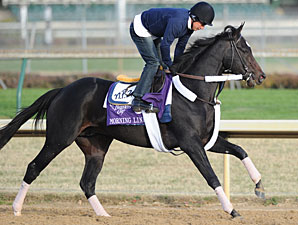 Dirt Mile Favorite? Morning Line, Who Else Dirt Mile Favorite? Morning Line, Who Else